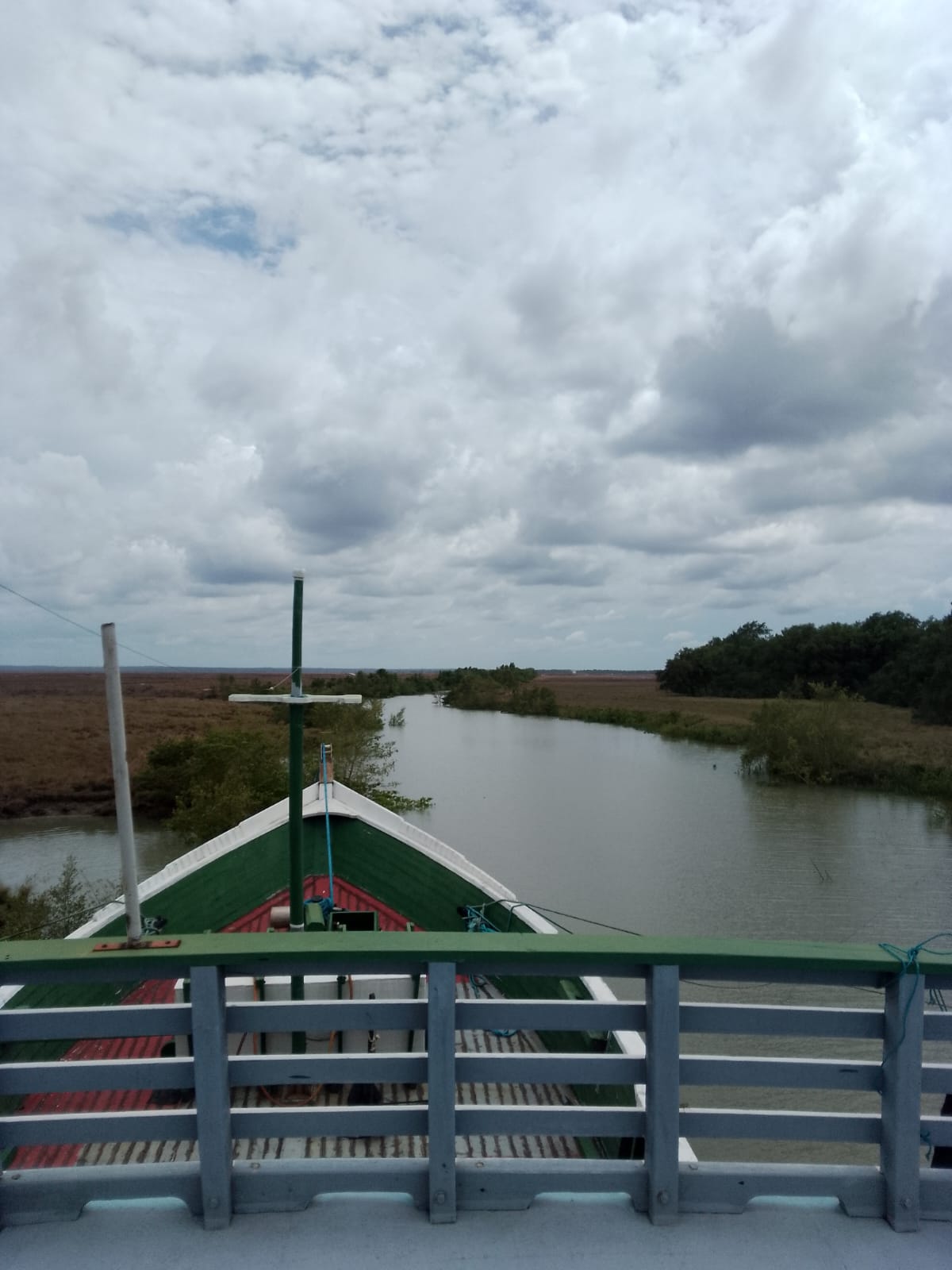 采石（30+米长）货船 stp